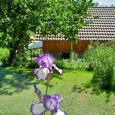 Charmantes Haus Im Gruenen Mit Terrasse Und Carport